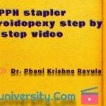 Rectum-PPH stapler hemorroidopexy