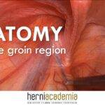 Hernia Surgery - gastrouniversity.com